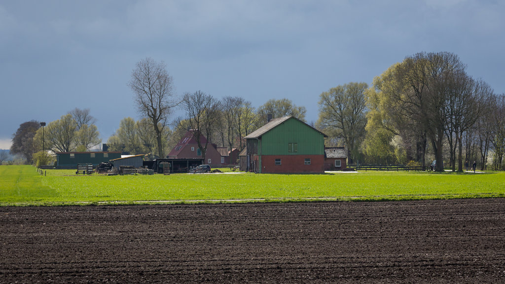 20160424-5D3-4643-RH.jpg